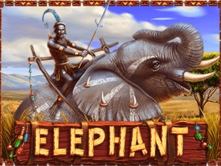 Elephant thumbnail