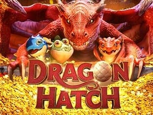 Dragon Hatch thumbnail