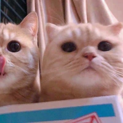 Raisa Andriana avatar